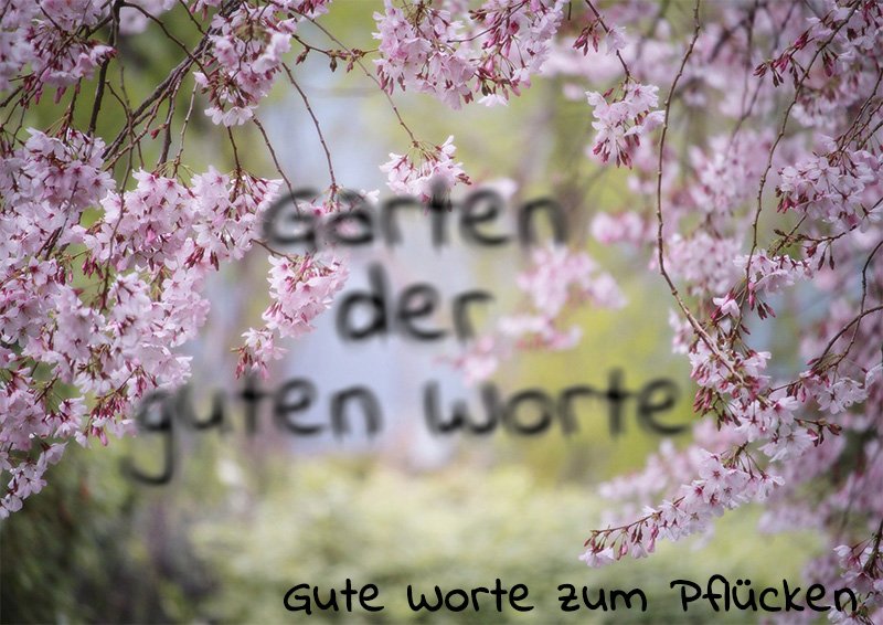 Gute Worte zum Pflücken im Garten der Bekenntniskirche in Wien-Donaustadt