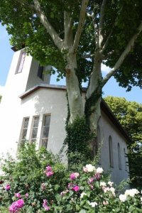 Bekenntniskirche Wien-Donaustadt Evangelisch A.B.